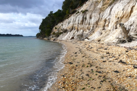 Shoreline restoration