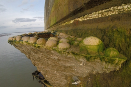 Marine infrastructure modification