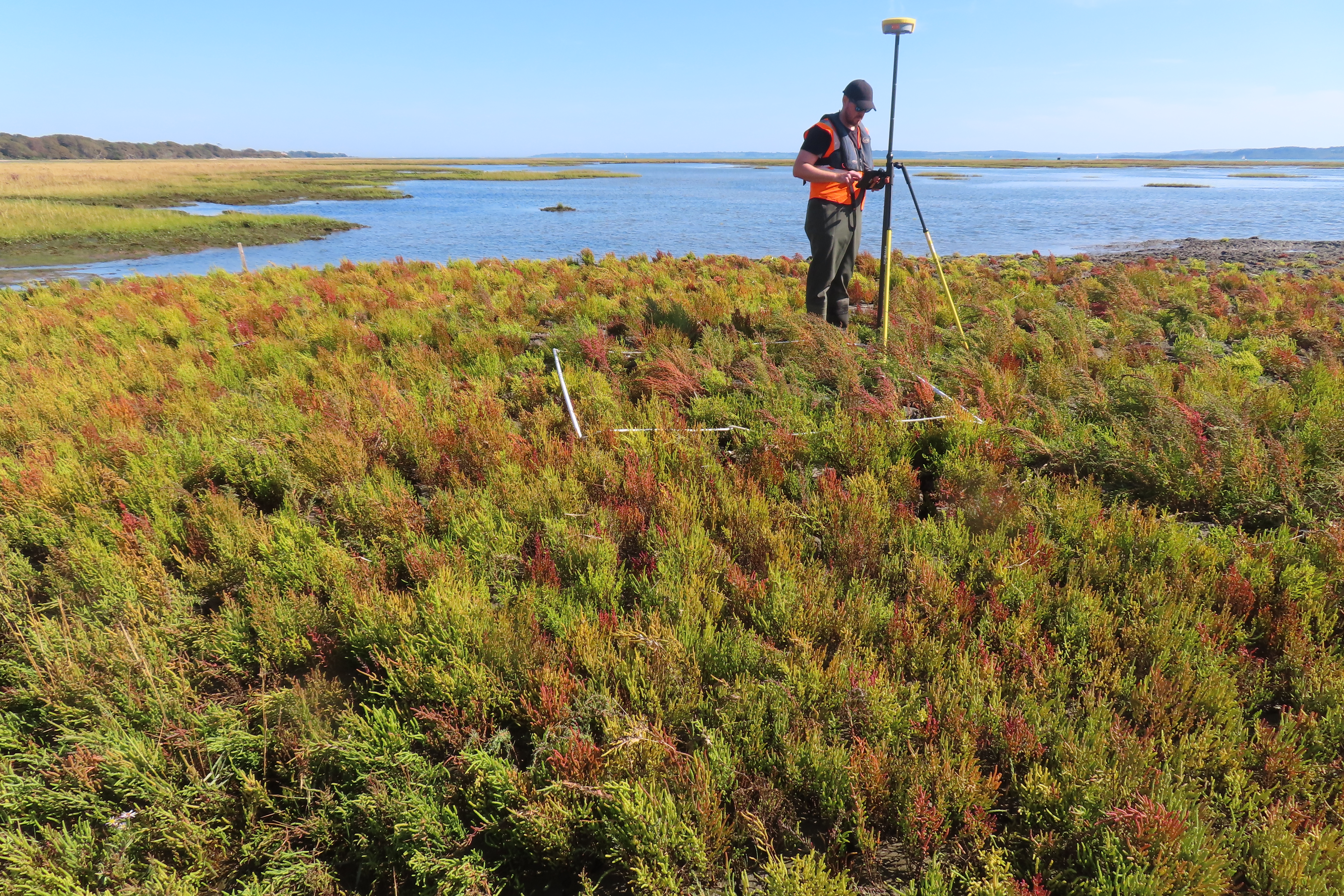 Boiler Marsh (intertidal relocation)