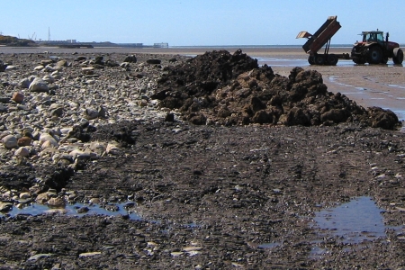 Rocky habitat creation